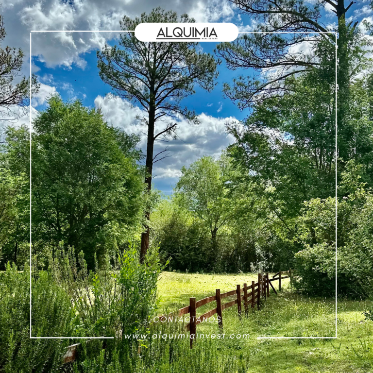 CAMPO 71 HAS JOA Y AGUS (11)