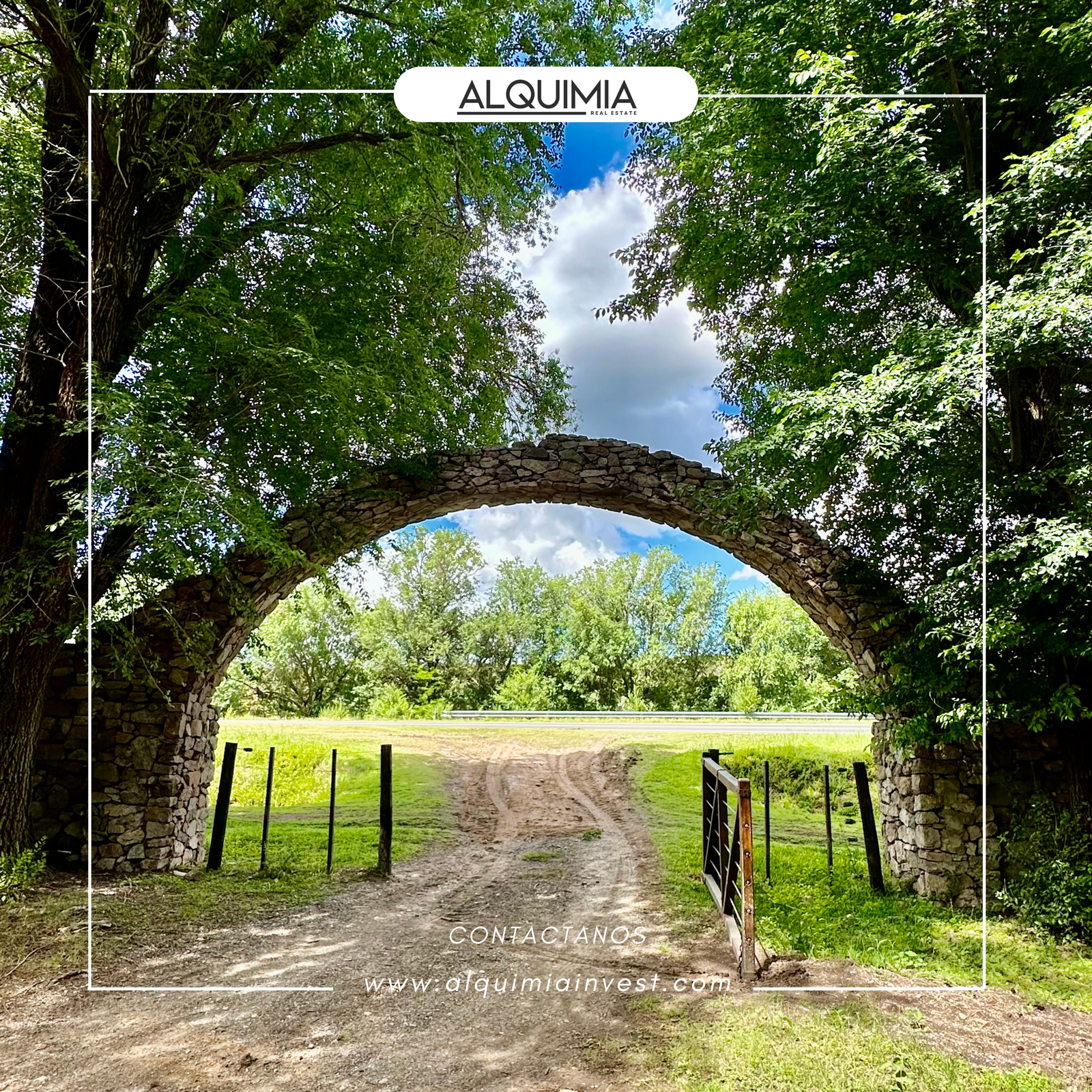 CAMPO 71 HAS JOA Y AGUS (3)