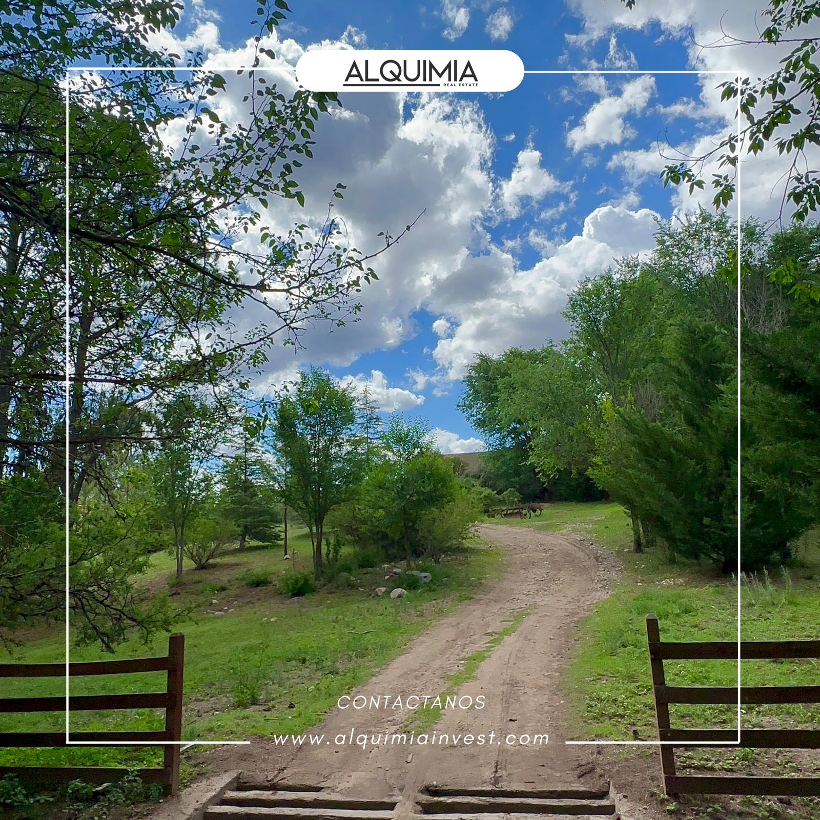 CAMPO 71 HAS JOA Y AGUS (4)