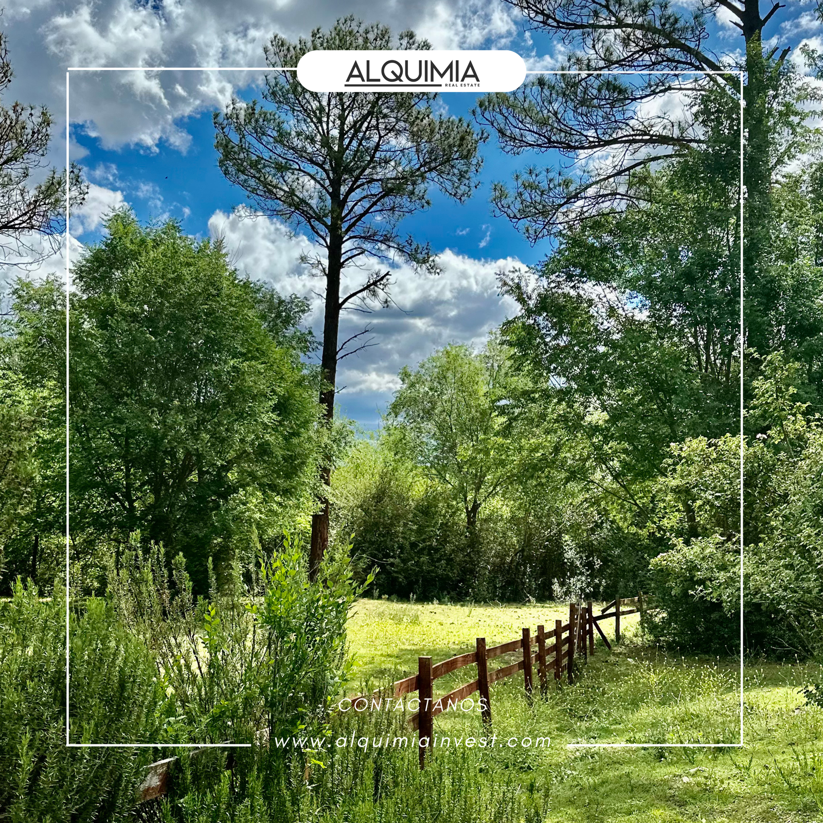 CAMPO 71 HAS JOA Y AGUS (5)