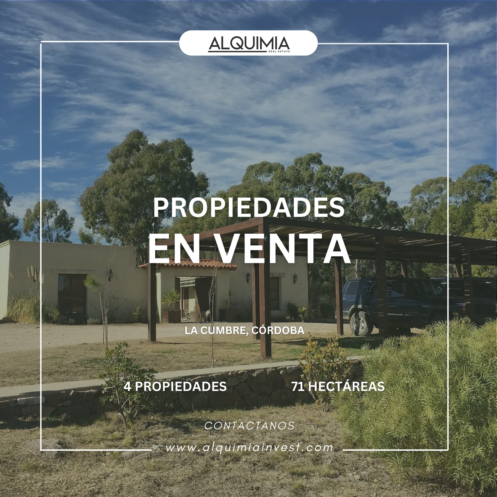 CAMPO 71 HAS JOA Y AGUS (66)