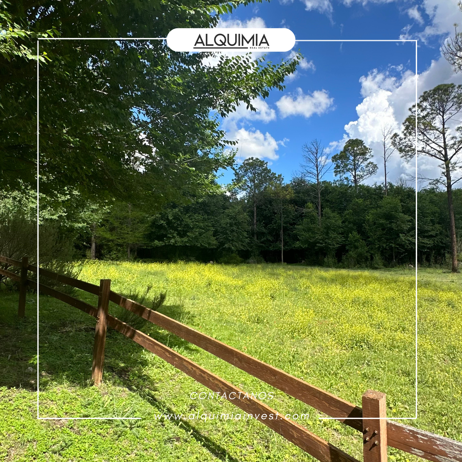 CAMPO 71 HAS JOA Y AGUS (7)