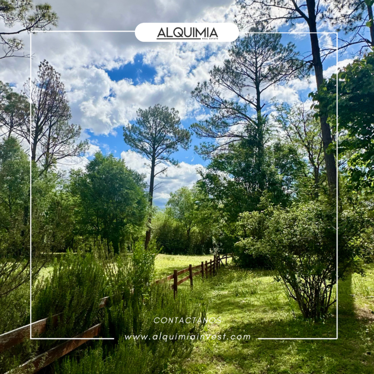 CAMPO 71 HAS JOA Y AGUS (8)