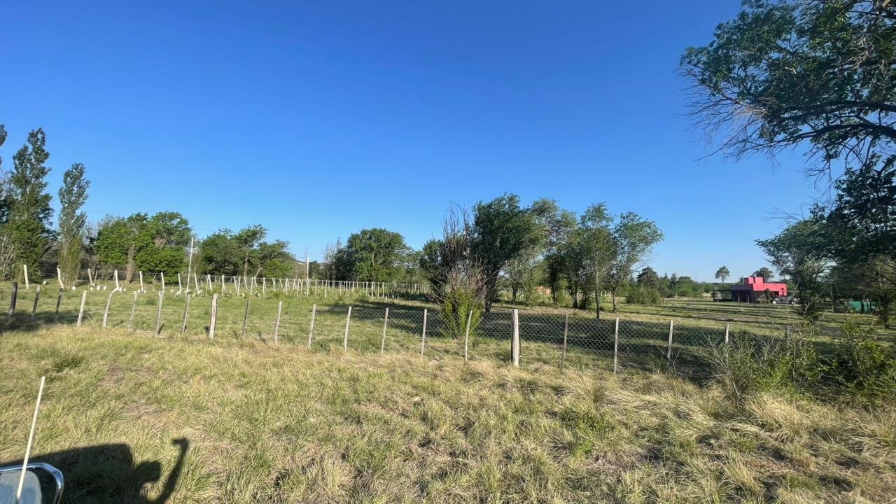 acae94e4-9018-4068-8006-68cd1056ad11