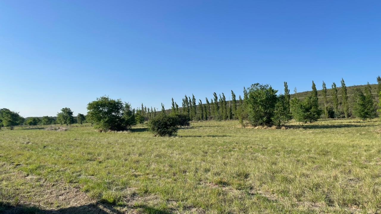 b0f2924b-e0f9-45f9-bb2c-41d88ff6b26e