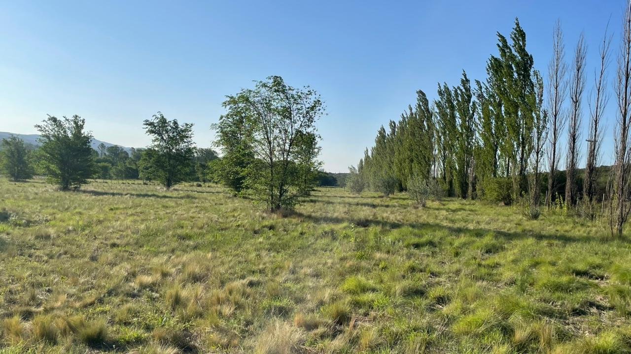 b63c1d00-f6b1-42a2-9783-e4dbf0983c88