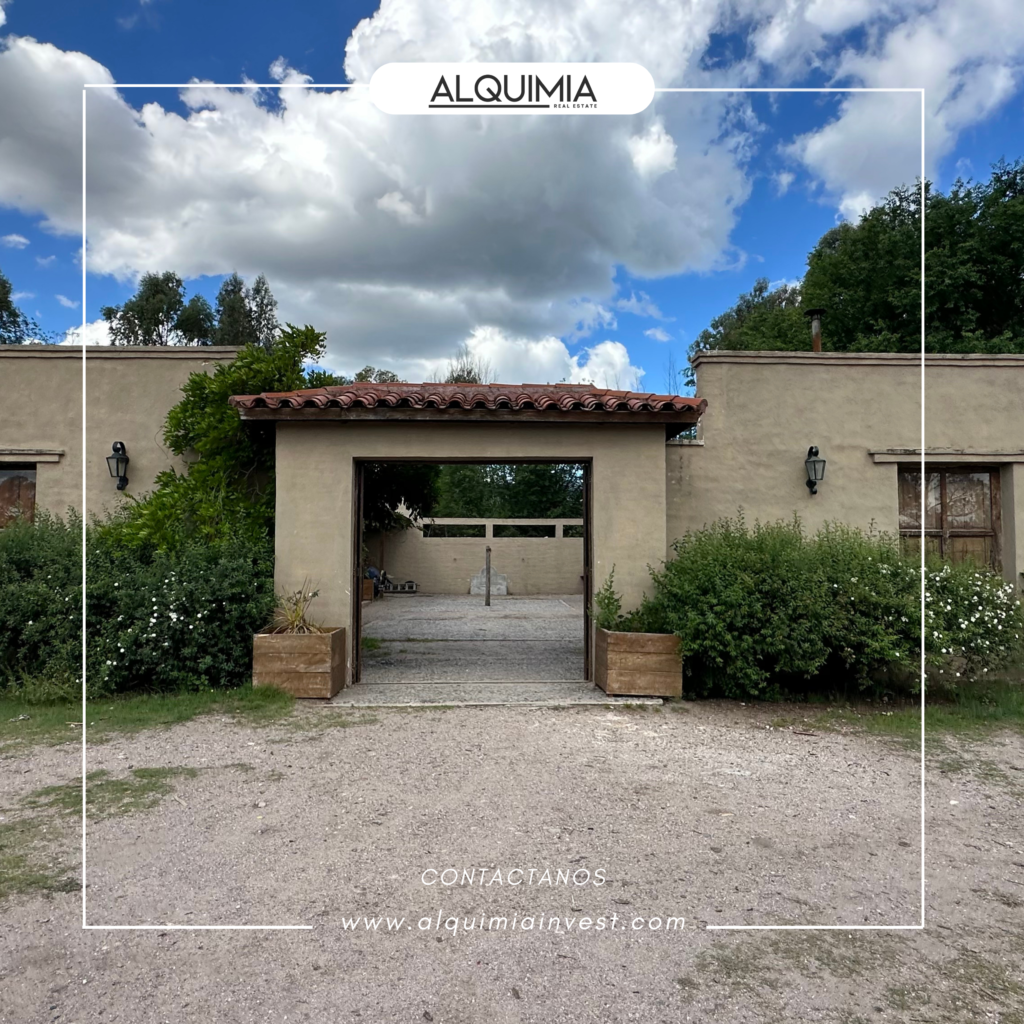 CAMPO 71 HAS JOA Y AGUS (34)