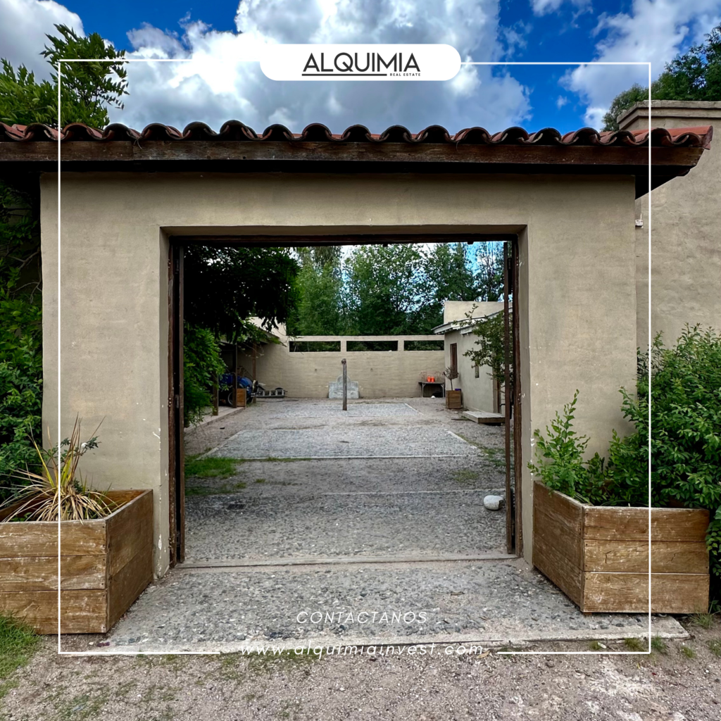 CAMPO 71 HAS JOA Y AGUS (35)