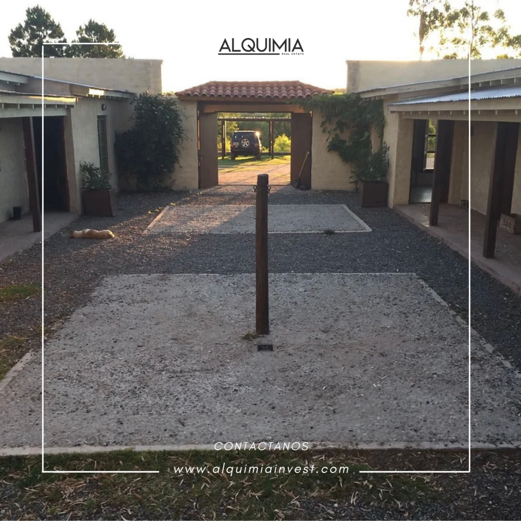 CAMPO 71 HAS JOA Y AGUS (36)