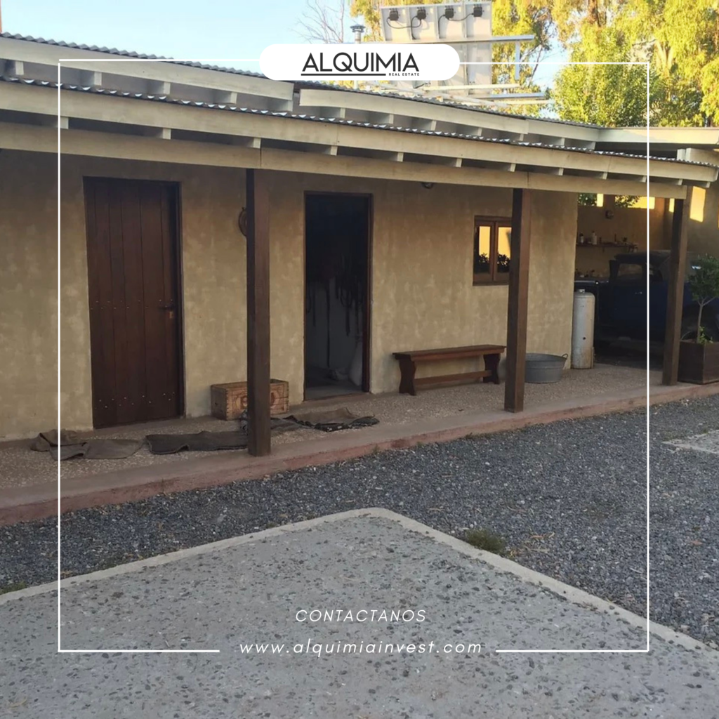 CAMPO 71 HAS JOA Y AGUS (37)