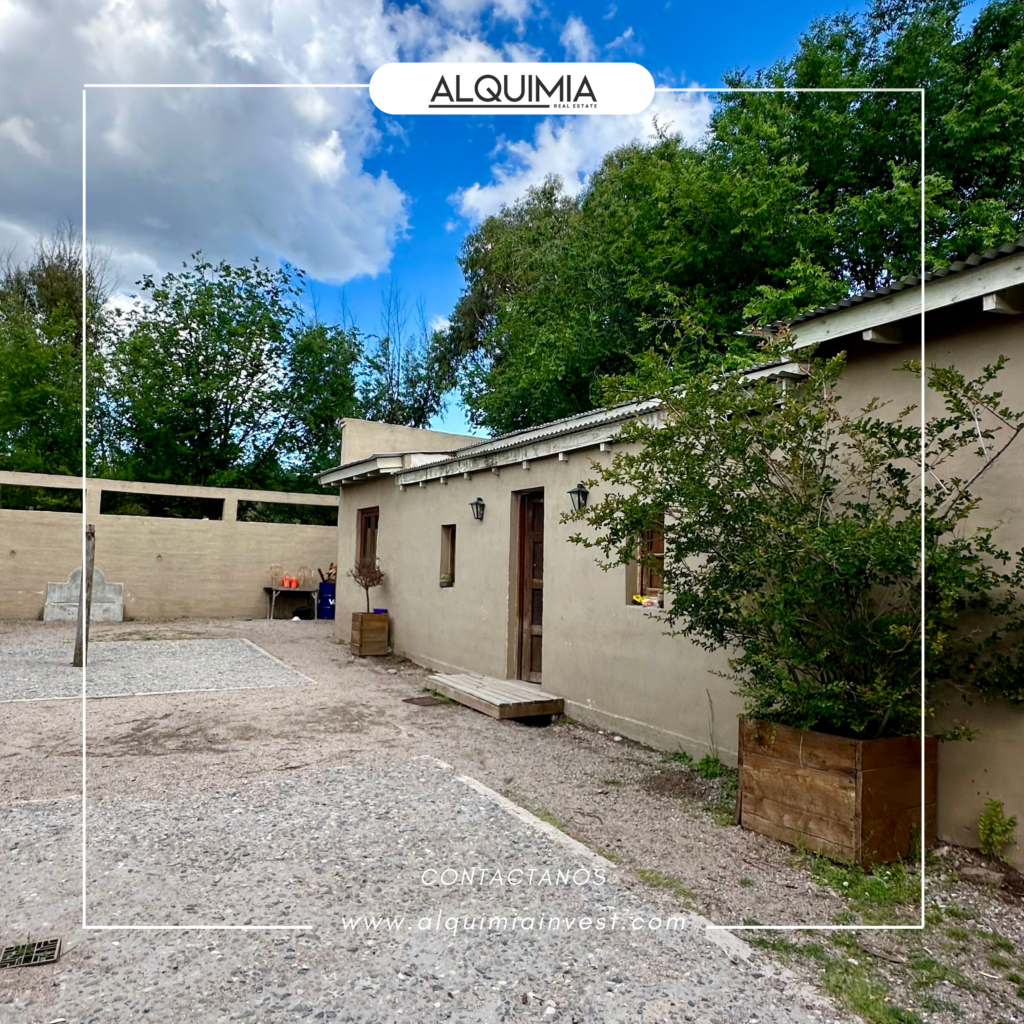 CAMPO 71 HAS JOA Y AGUS (38)