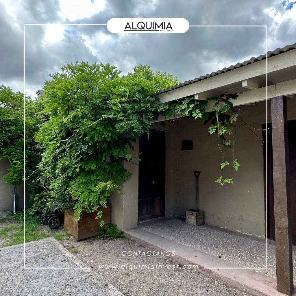 CAMPO 71 HAS JOA Y AGUS (39)