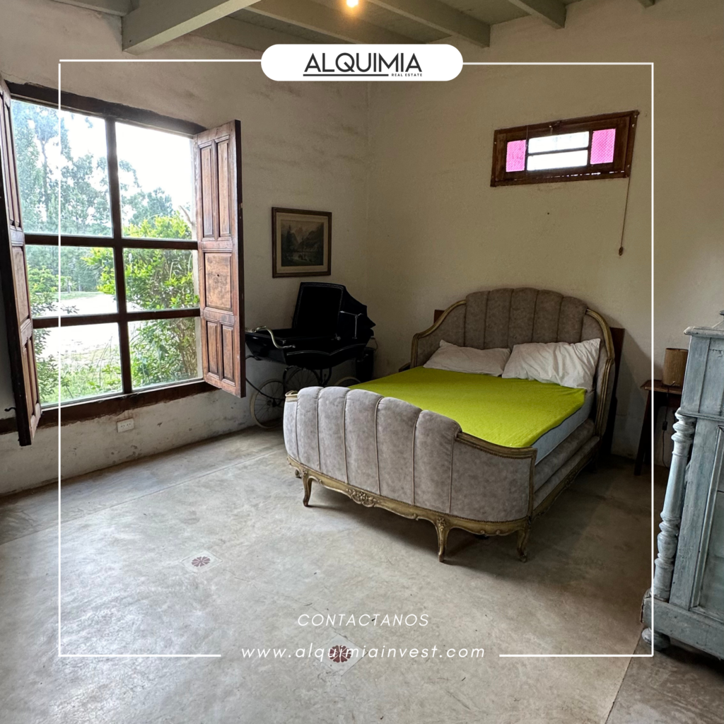 CAMPO 71 HAS JOA Y AGUS (40)