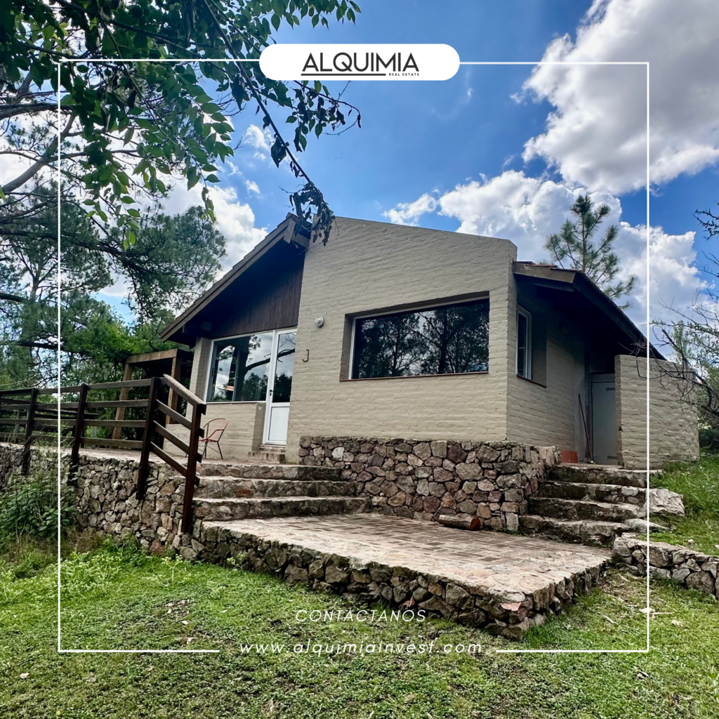 CAMPO 71 HAS JOA Y AGUS (42)