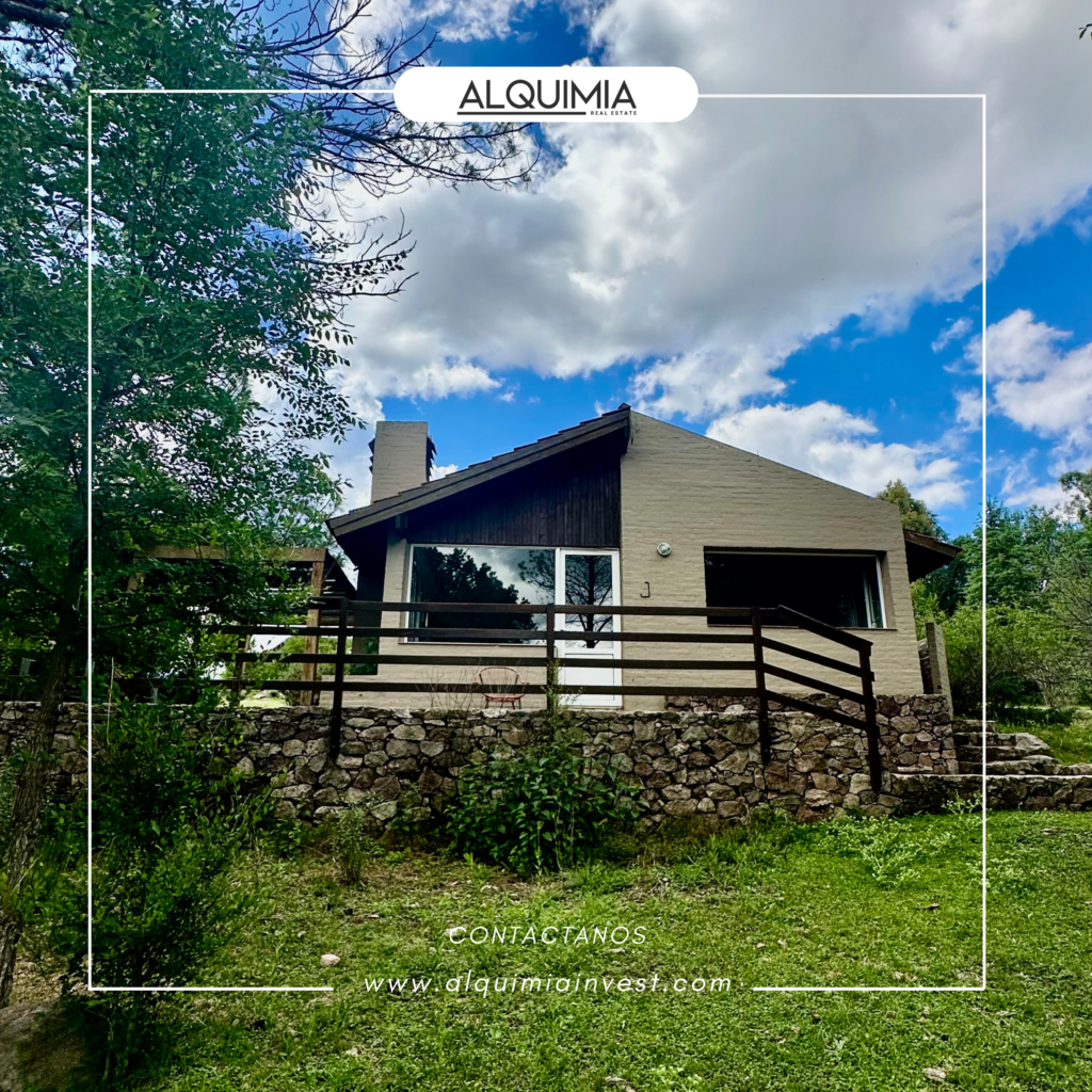 CAMPO 71 HAS JOA Y AGUS (43)