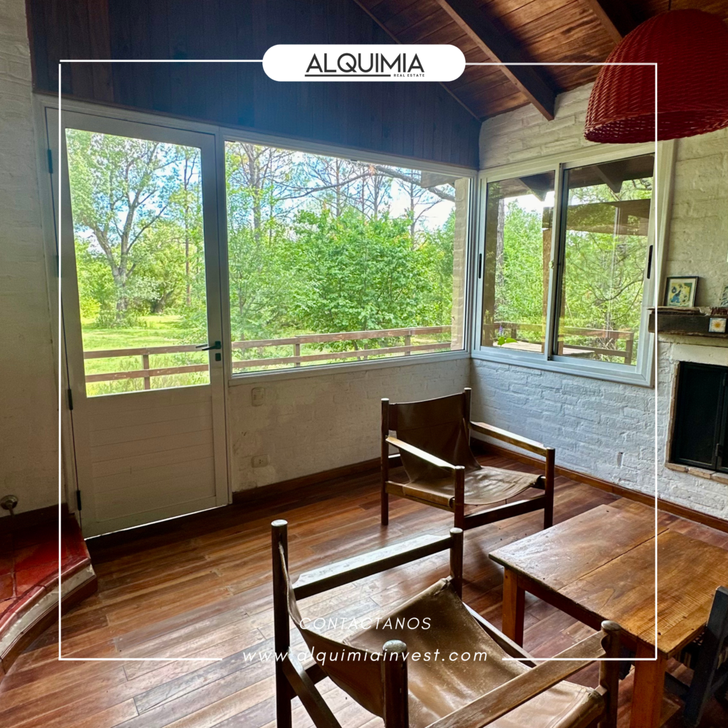 CAMPO 71 HAS JOA Y AGUS (46)