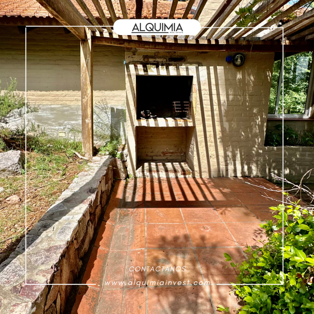 CAMPO 71 HAS JOA Y AGUS (52)