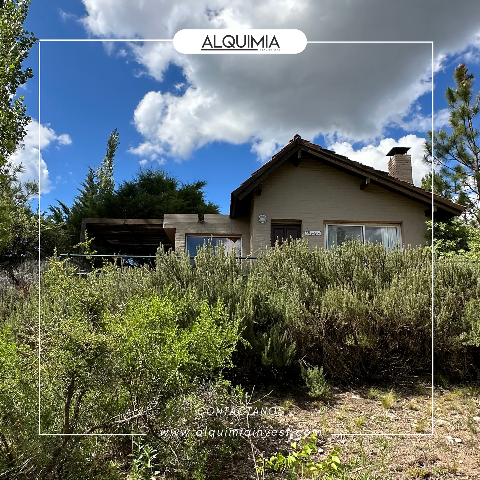 CAMPO 71 HAS JOA Y AGUS (53)