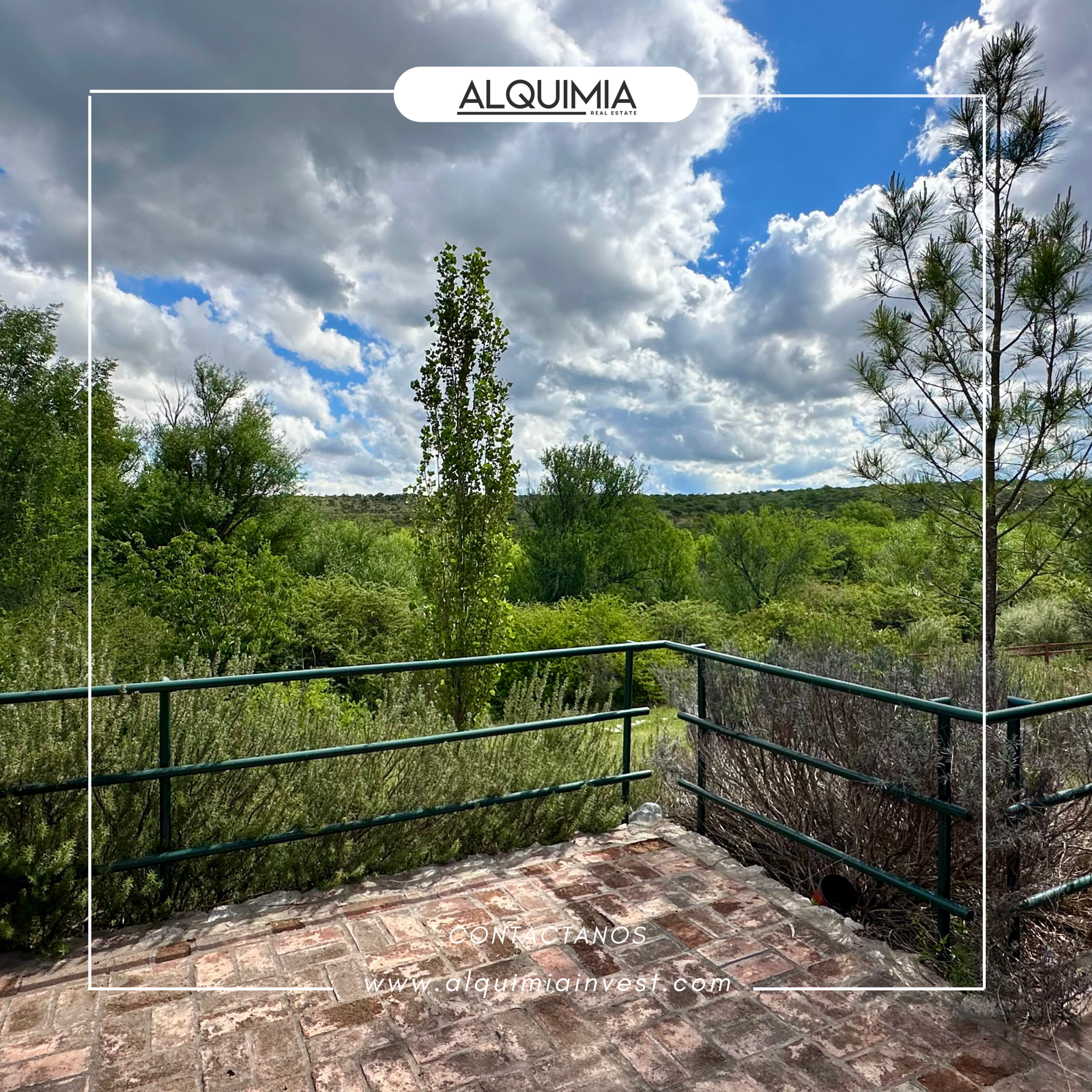 CAMPO 71 HAS JOA Y AGUS (61)