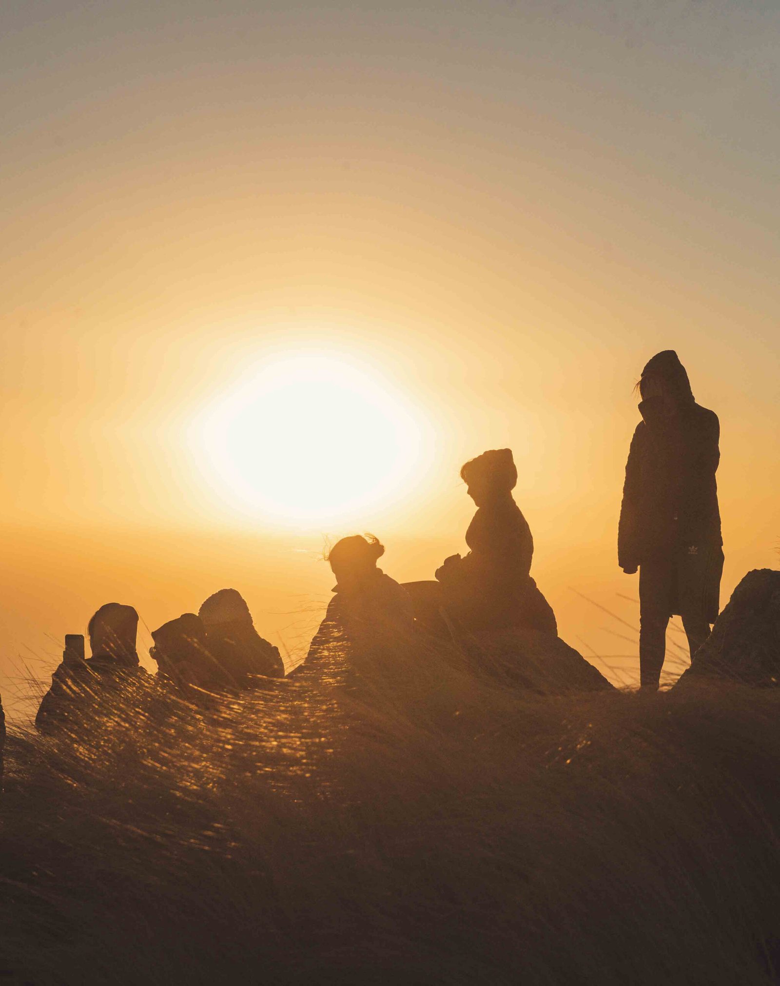 foto de portada 'SUBI TU PROPIEDAD